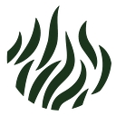 Wild World Safaris logo