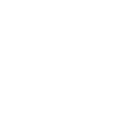 Wille AG logo
