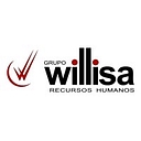 Willisa logo
