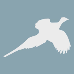 Willo Game Ltd t/a Willo Game logo