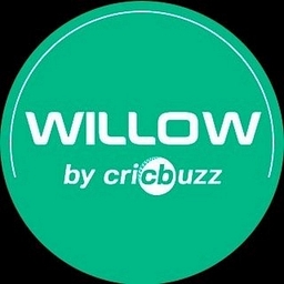 Willow TV logo