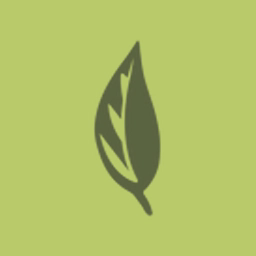 Willow Health logo