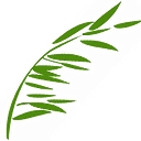 Willow Domestic Violence Center logo
