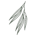 Favicon of Willow Farm