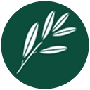 Willow Care Nursing Home logo