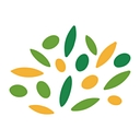 Willows Child Learning Centers