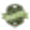 City of Willow Springs logo