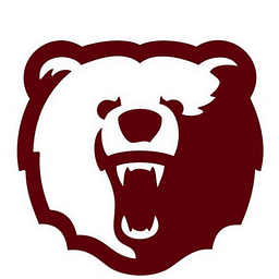 WILLOW SPRINGS ELEM. logo