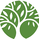 Willow Tree Recruiting