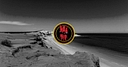 Willyama Services logo