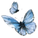 Wilridge Winery logo