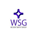 Wilson Smith Group, Llc/Wsg Specialty Underwriters logo