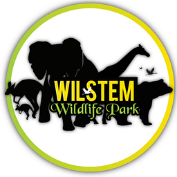 Wilstem logo