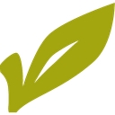 City of Winchester logo