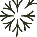 Favicon of Windflower Florist (Singapore)
