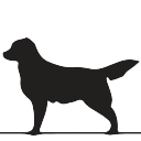 Windham Animal Hospital