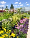 Windmill Gardens logo