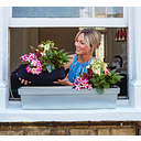 Window Fleur