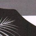 The Windy Hill - Rosalie Bay Catchment Trust logo