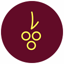 The Cincinnati International Wine logo