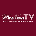 winenews.it logo