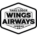 Wings Airways Inc. logo
