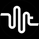 Wired Tunes logo