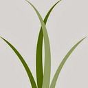 Wiregrass Technical College Foundation - logo