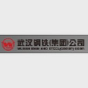 Wuhan Iron And Steel Company Limited logo