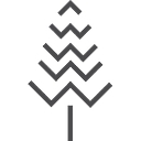 Wisdom Essentials logo