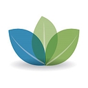 Wise Bread logo