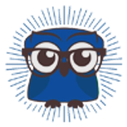 Wise Computer Ltd logo