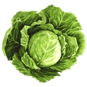 WiseGoat Organics logo