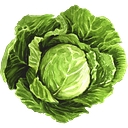 WiseGoat Organics logo