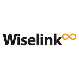 Wiselink Global INC logo