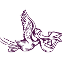 Wise Pelican logo