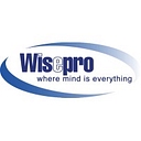 Wisetek Providers logo