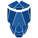Wise Skulls logo