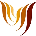 Wisewires logo