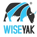Wiseyak Inc. logo