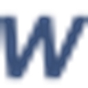 Wiskii logo