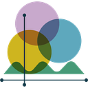 WNC Health Network Inc logo