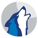 Wolf Consulting LLC logo