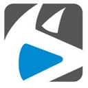 Wolfe Systems It logo
