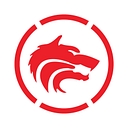 Wolfpack Information Risk Logo