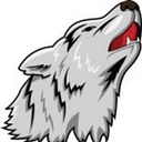 Wolf Technology Group, Llc. logo