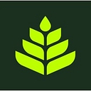Wollemi logo