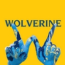 Wolverine Community School District logo