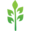 Women's Health Arizona logo