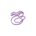 CommonSpirit Health